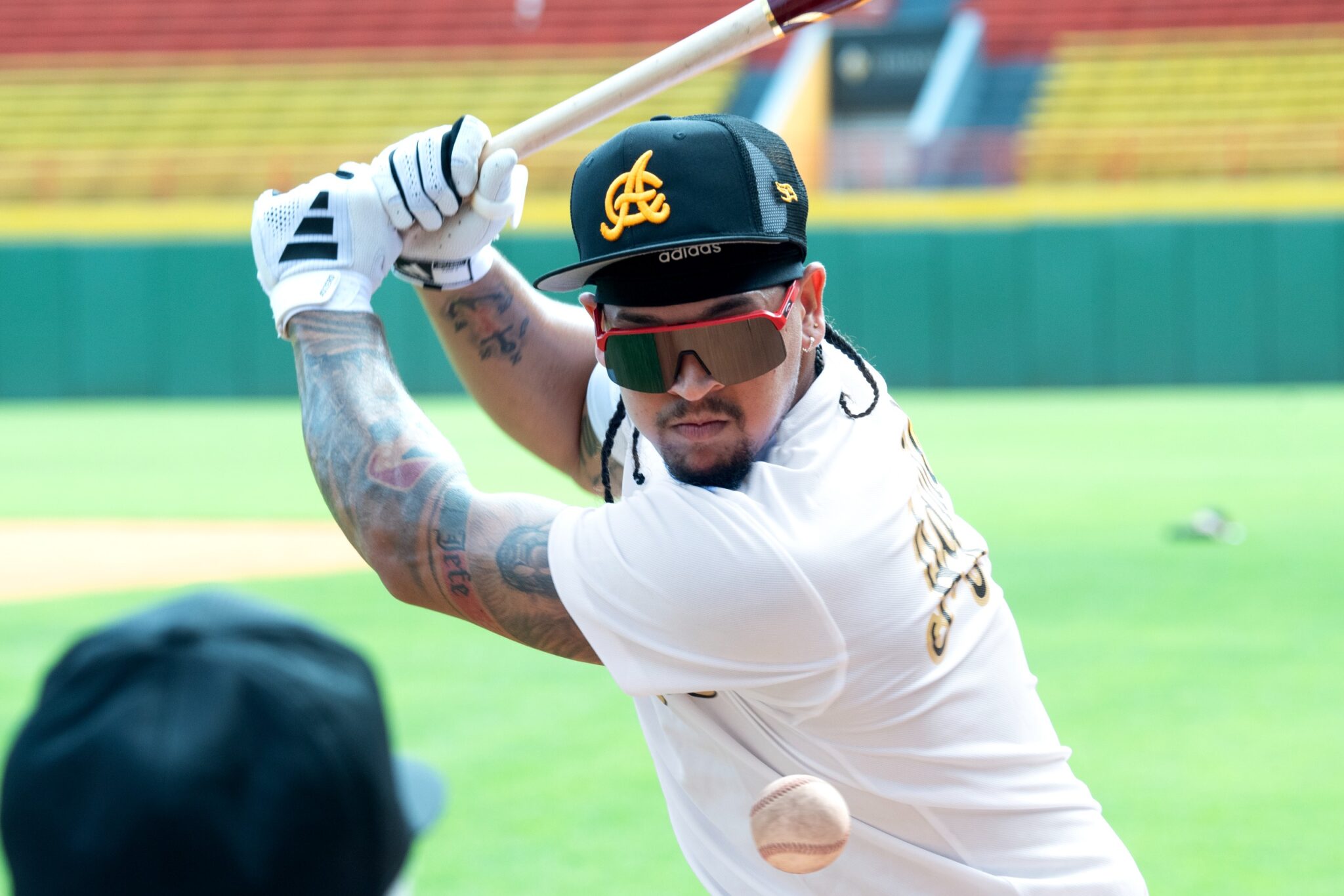 Águilas Cibaeñas convocan este lunes sus jugadores a prácticas