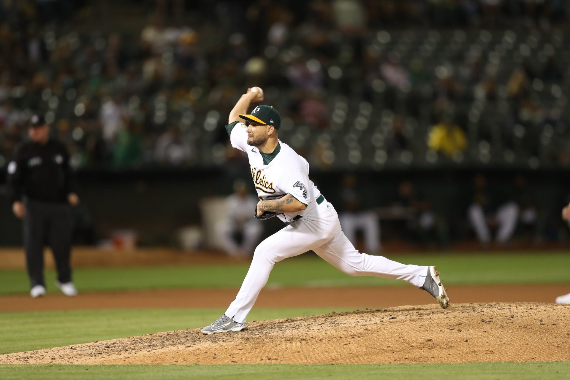 Leones anuncian la contratación de Norge Ruiz