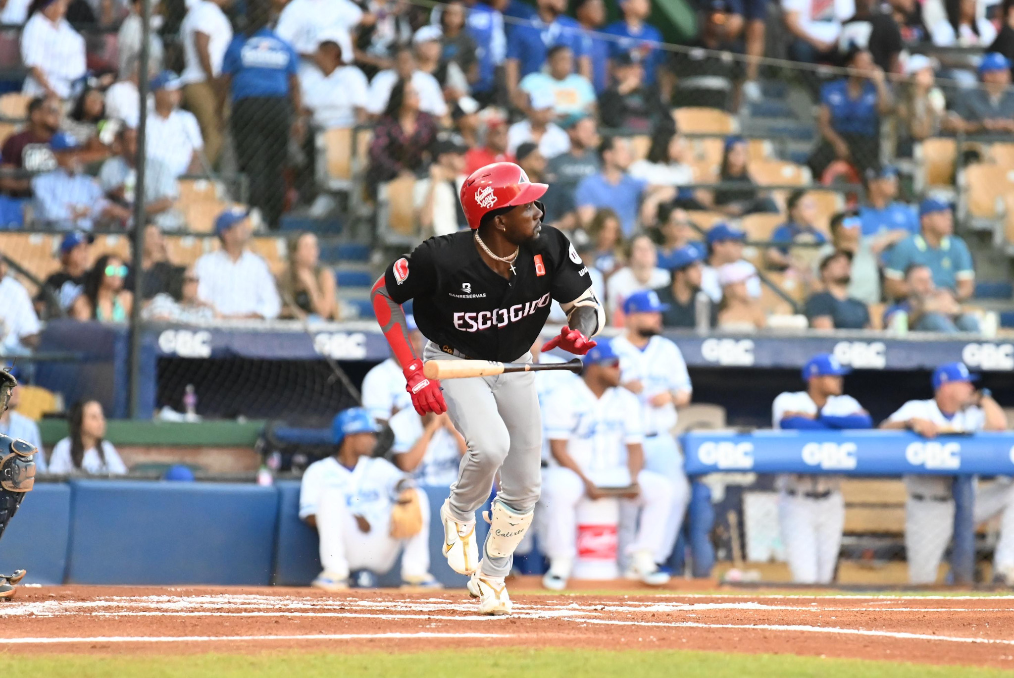 Leones se acercan al segundo lugar tras vencer al Licey