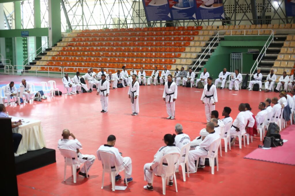 Realizan un seminario para árbitros de taekwondo