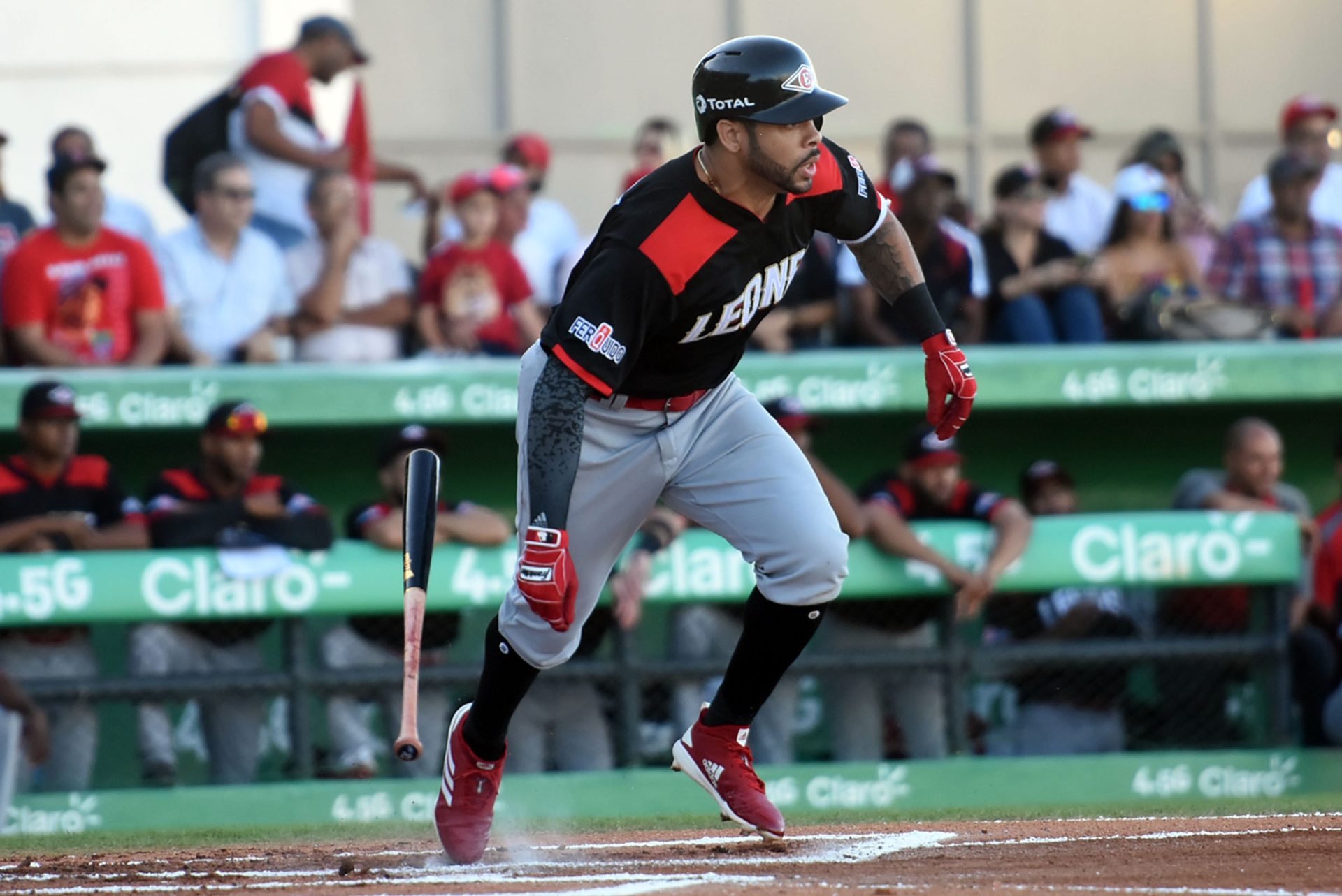 Tommy Pham vuelve a Leones; anuncian también a Agrazal