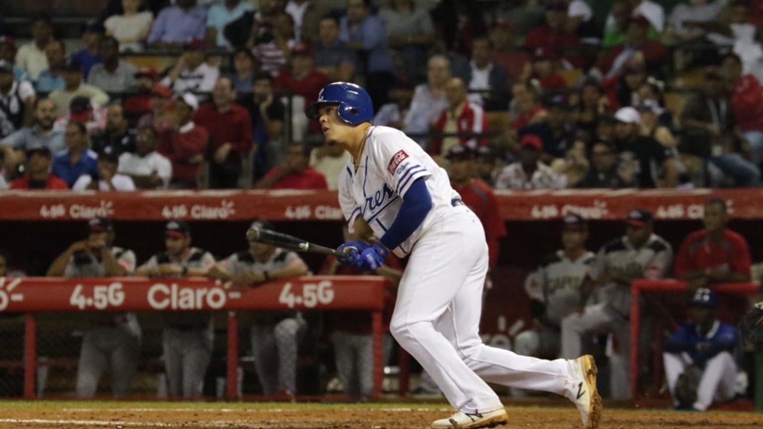 Gio Urshela es anunciado como nuevo refuerzo de los Tigres del Licey